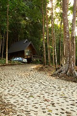 Image showing Bungalow in the rain forest.