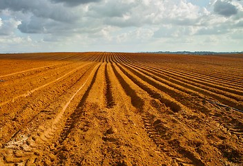 Image showing Orange plowed field in perspective in cloudy day