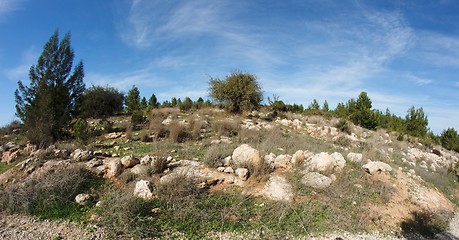 Image showing Rocky green hill view distorted by fisheye lens