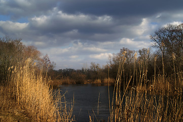 Image showing River landscape