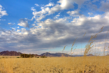 Image showing Landscape in Namibia