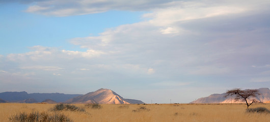 Image showing Landscape in Namibia