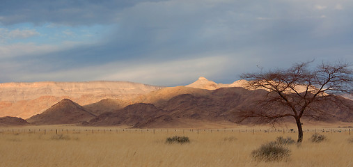 Image showing Landscape in Namibia