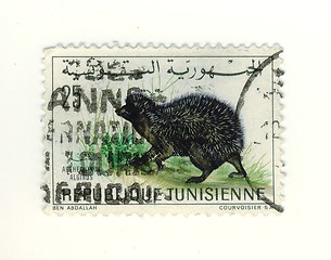 Image showing tunisian stamp