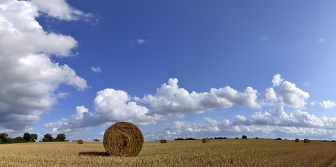 Image showing harvested fiel with straw and lots of sky