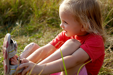 Image showing Giel on a meadow