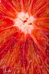 Image showing Extreme macro shot of a blood orange