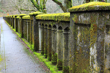 Image showing Moss Covered Bridge