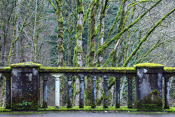 Image showing Moss Covered Bridge