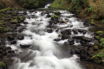 Image showing Rocky Stream