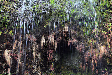 Image showing White Thread Falls