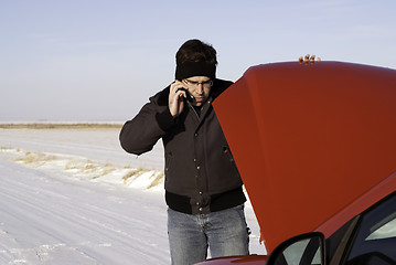 Image showing Checking Under The Hood