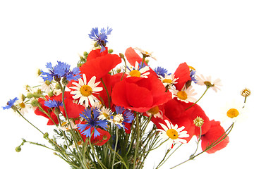 Image showing Wild summer flowers