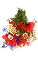 Image showing Wild summer flowers