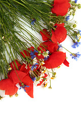 Image showing Wild summer flowers