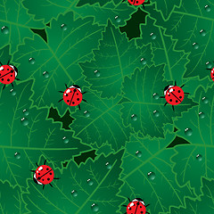 Image showing Abstract red bugs background.