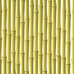 Image showing Abstract bamboo background.