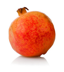 Image showing One simple pomegranate