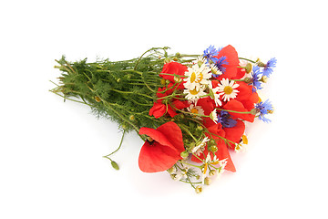 Image showing Wild summer flowers