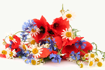 Image showing Wild summer flowers