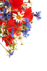 Image showing Wild summer flowers