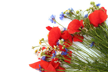 Image showing Wild summer flowers