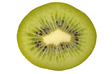 Image showing Kiwi