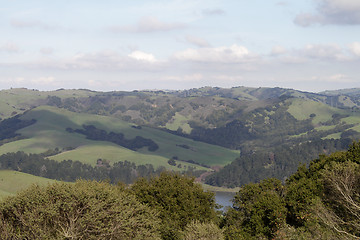 Image showing Green hills with woods