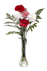 Image showing Carnation Bouquet