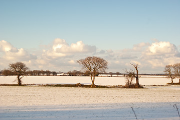 Image showing Winter Scene