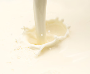 Image showing milk splash