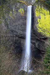 Image showing Latourell Falls