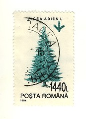 Image showing romanian stamp