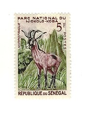 Image showing senegalese stamp