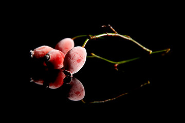 Image showing Rose hips