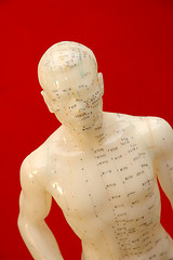 Image showing Acupuncture Model