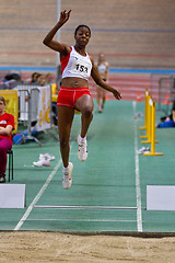 Image showing Vienna Indoor Classic 2010