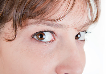 Image showing  womans eyes