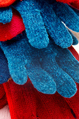 Image showing Gloves