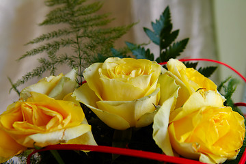 Image showing Yellow roses