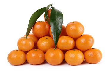 Image showing Heap of ripe mandarins