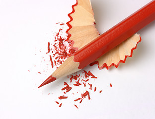 Image showing Sharpened red crayon on shavings