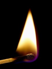 Image showing Burning match on a black background