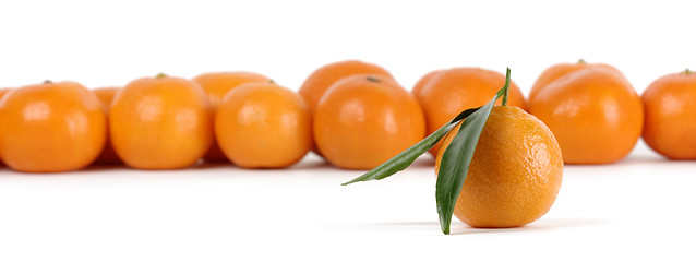 Image showing Mandarins, one with leaves is standing separately