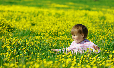 Image showing Cute child play on meadow