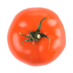 Image showing single tomato