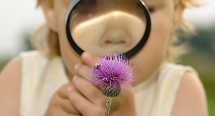 Image showing Child looking at flower through magnifying glass
