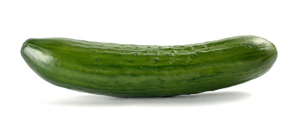 Image showing Single cucumber