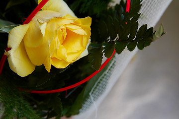 Image showing Yellow roses