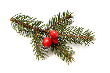 Image showing Red-green christmas arragement